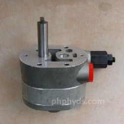 SPV20-23-Charge pump
